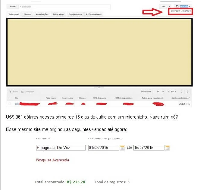 Micronichos ou Microblogs: Ainda são rentáveis? Micronichos