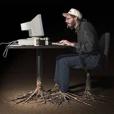 web-site