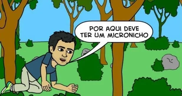 Micronichos ou Microblogs: Ainda são rentáveis? Micronichos Microblogs