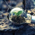 Especialista explica como o Growth Hacking pode impulsionar o crescimento de empresas
