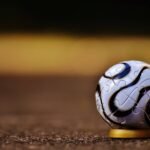 Como a seleção da Argentina se tornou uma grande aposta no marketing digital