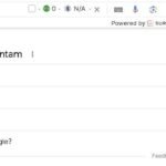 Descubra como dominar o Google: Como se destacar nas Serps