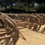 Encurtadores de links transmitem link juice? Desvendando o mito